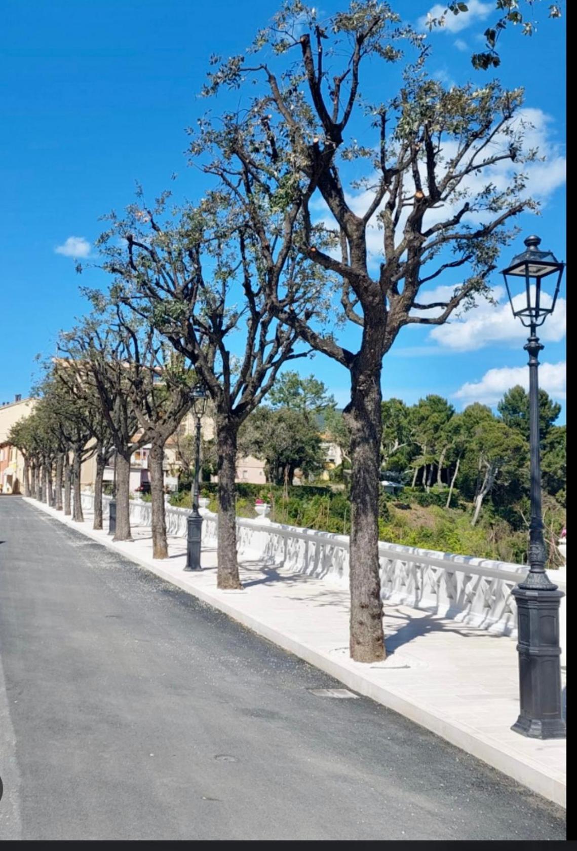 Ferienwohnung La Voce Del Mare Numana Exterior foto