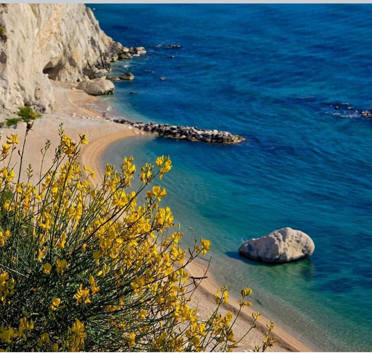 Ferienwohnung La Voce Del Mare Numana Exterior foto