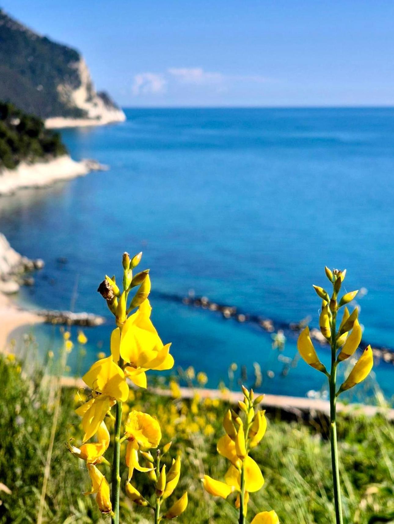 Ferienwohnung La Voce Del Mare Numana Exterior foto