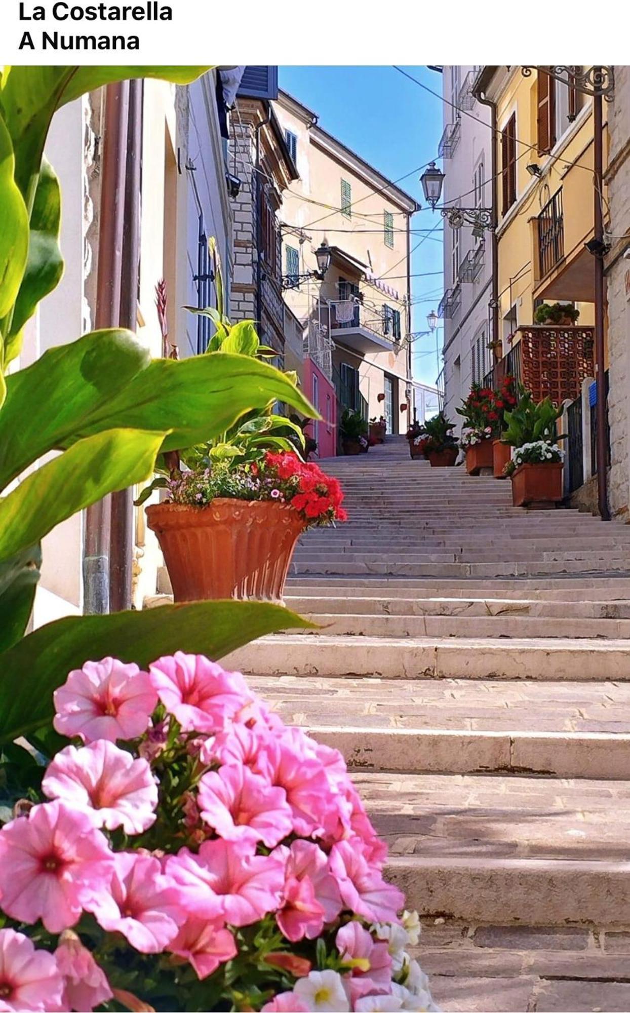 Ferienwohnung La Voce Del Mare Numana Exterior foto